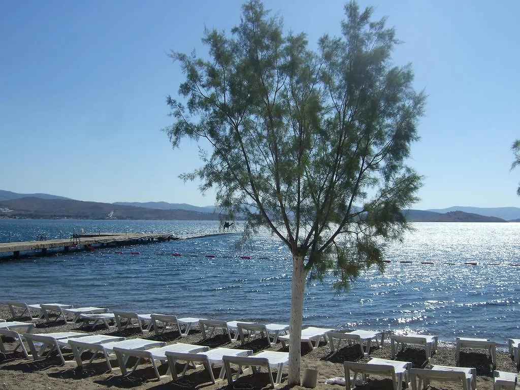 Ilginlar Plaj-Kamping Hotel Ortakent 0*,