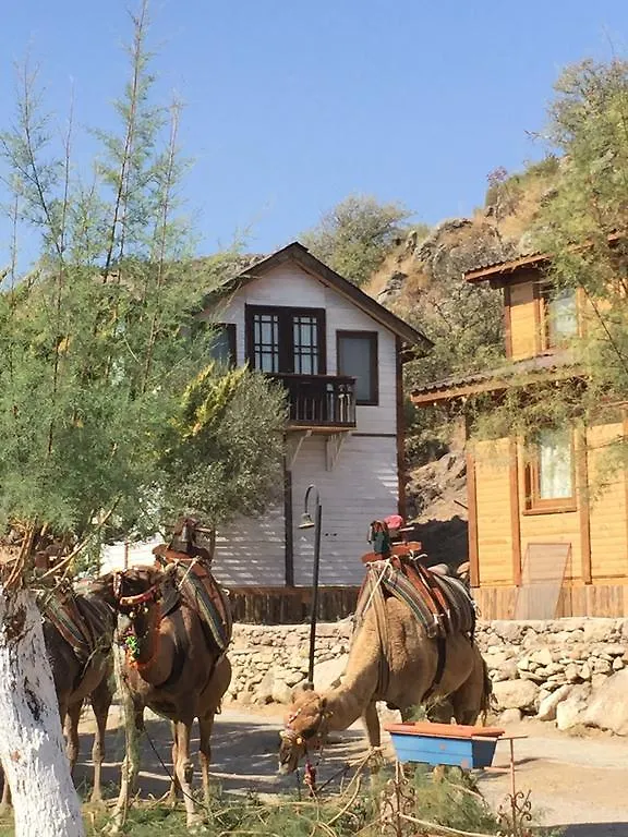 Ilginlar Plaj-Kamping Hotel Ortakent 0*,  Turkey
